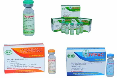 Vắcxin COVIVAC của Viện Vắc xin và Sinh phẩm Y tế. (Ảnh: PV/Vietnam+)