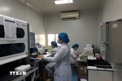Lực lượng y, bác sĩ tại Trung tâm Kiểm soát dịch bệnh tỉnh Bắc Ninh luôn căng mình xét nghiệm SARS-CoV-2 để trả kết quả sớm nhất. (Ảnh: Thanh Thương/TTXVN)