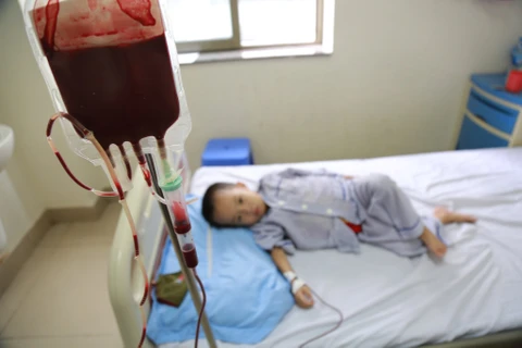 Trẻ mắc bệnh thalassemia điều trị tại Viện Huyết học-Truyền máu Trung ương. (Ảnh: PV/Vietnam+)