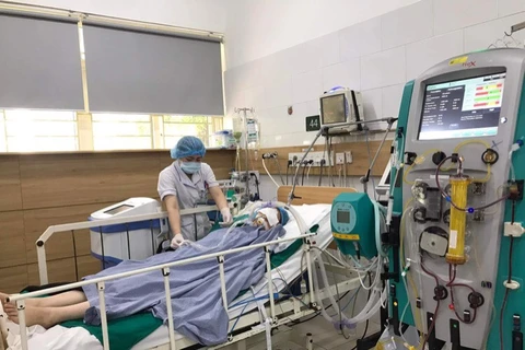 Bệnh nhân đang điều trị tại Trung tâm Chống độc, Bệnh viện Bạch Mai. (Ảnh: PV/Vietnam+)