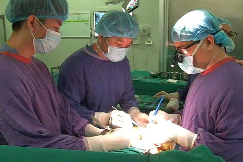 Một ca ghép tạng được các y bác sỹ tiến hành. (Ảnh: PV/Vietnam+)