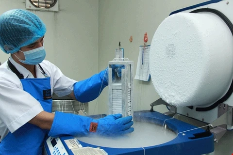 Lưu trữ tế bào gốc máu dây rốn cộng đồng tại Ngân hàng Tế bào gốc máu dây rốn cộng đồng, Viện huyết học-Truyền máu Trung ương. (Ảnh: PV/Vietnam+)