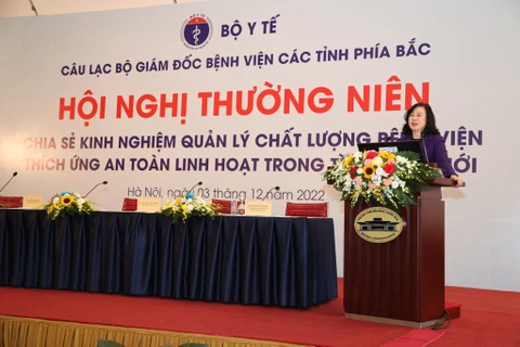 Bộ trưởng Bộ Y tế Đào Hồng Lan phát biểu tại hội nghị. (Ảnh: PV/Vietnam+)