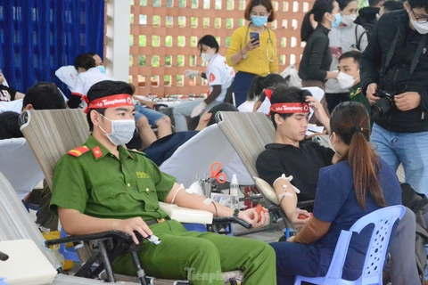 Các bạn trẻ tham gia tại Chương trình hiến máu Chủ nhật Đỏ. (Ảnh: PV/Vietnam+)