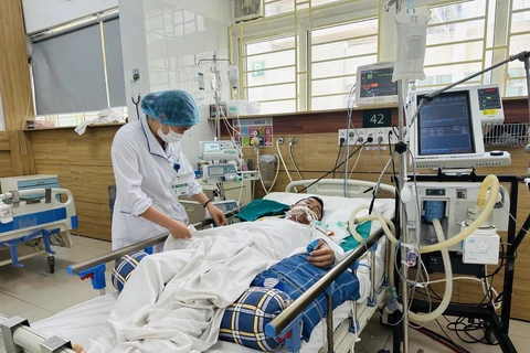 Bệnh nhân trong tình trạng nặng nhất đang được điều trị hồi sức tích cực, lọc máu và phải thở máy tại Trung tâm chống độc. (Ảnh: T.G/Vietnam+)
