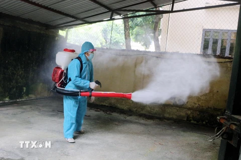 Phun hóa chất diệt muỗi. (Ảnh: Nguyễn Chinh/TTXVN)