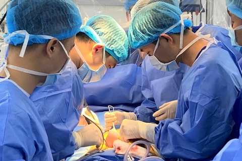 Các bác sỹ Bệnh viện Hữu nghị Việt Tiệp thực hiện ca ghép thận cho một bệnh nhân. (Ảnh: PV/Vietnam+)