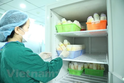 Sữa mẹ được bảo quản tại Ngân hàng sữa mẹ - Bệnh viện Nhi Trung ương. (Ảnh: PV/Vietnam+)