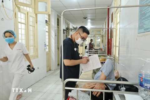 Bác sỹ theo dõi tình hình sức khỏe cho một bệnh nhân mắc sốt xuất huyết tại Hà Nội. (Ảnh: Minh Quyết/TTXVN)