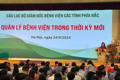 Bộ trưởng Y tế Đào Hồng Lan phát biểu tại Hội nghị. (Ảnh: PV/Vietnam+)