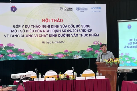 Thứ trưởng Bộ Y tế Đỗ Xuân Tuyên phát biểu tại hội thảo. (Ảnh: PV/Vietnam+)