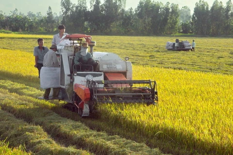 Ngành nông nghiệp Việt Nam đang đứng trước vận hội lớn