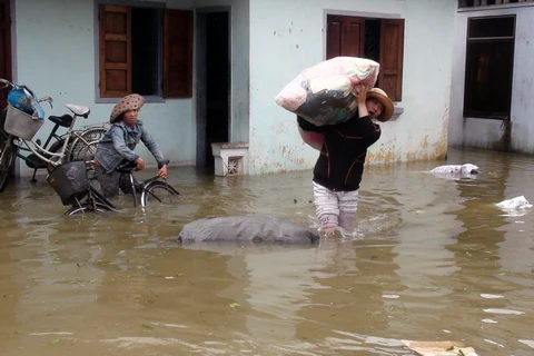 Mưa lớn gây lụt nhanh, Bình Định thiệt hại nặng