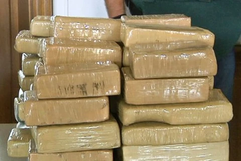 Malaysia bắt giữ lượng ma túy kỷ lục trong năm 2013