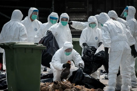 Thêm một ca tử vong do cúm H7N9 ở Trung Quốc