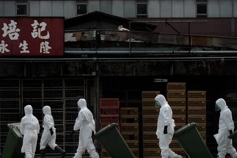 Trung Quốc xác nhận bùng phát cúm gia cầm H5N1