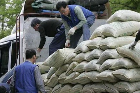Hàn Quốc có thể áp mức thuế 500% đối với gạo nhập khẩu