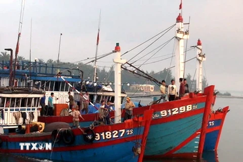 Ngư dân Bình Thuận vững mạnh vươn khơi, bảo vệ chủ quyền