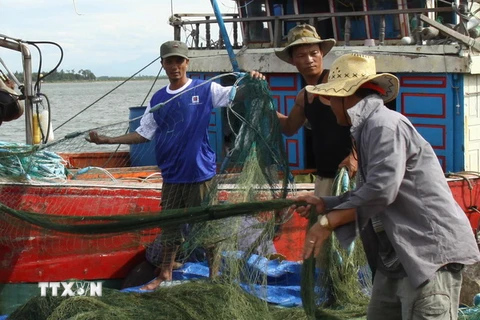 Ngư dân Bình Định kiên trì quyết tâm vươn khơi bám biển