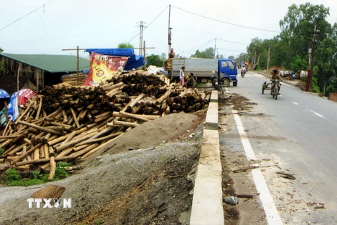 Cần xử lý dứt điểm tình trạng vi phạm an toàn đê điều ở Hà Nội