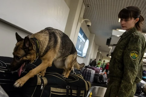 Kẻ bí ẩn dọa đánh bom sân bay Domodedovo ở Moskva