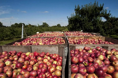 EU tăng gấp đôi hạn ngạch nhập khẩu nông phẩm từ Moldova
