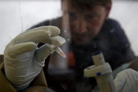 WHO cân nhắc việc sử dụng thuốc thử nghiệm điều trị Ebola