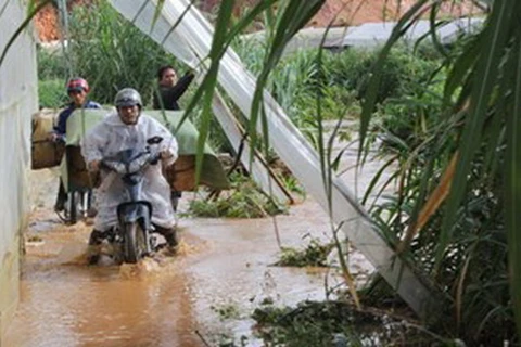 Lâm Đồng: Mưa lớn gây ách tắc khu vực cửa ngõ Đà Lạt