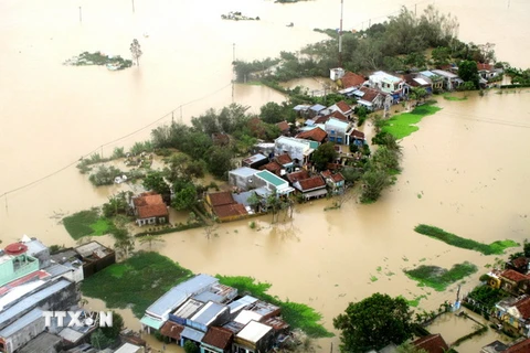Quảng Ninh-Thanh Hóa là vùng có số cơn bão đổ bộ nhiều nhất