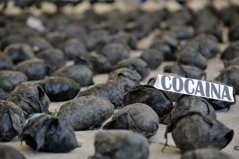 Bồ Đào Nha thu giữ 1,3 tấn cocaine trị giá 80 triệu euro
