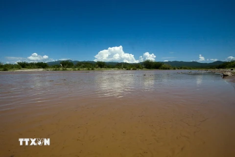 Mexico ban bố báo động sau vụ tràn hóa chất độc hại xuống sông
