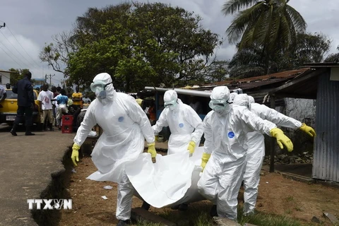Bác sỹ Liberia đình công đẩy dịch Ebola có nguy cơ lây lan nhanh