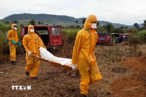 "Phải mất nhiều tháng mới khống chế được dịch bệnh Ebola"