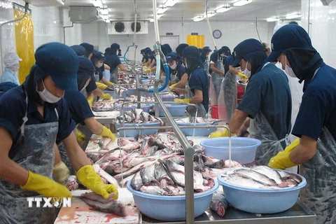 Sản lượng xuất khẩu cá tra của Việt Nam đang tăng trở lại
