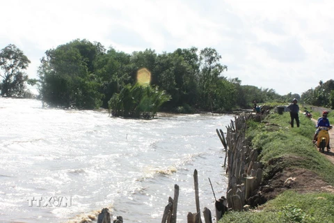 40% diện tích Đồng bằng sông Cửu Long có thể bị nhấn chìm