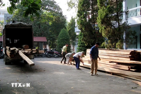 Bình Định: Phạt 480 triệu đồng do vận chuyển gỗ trái phép