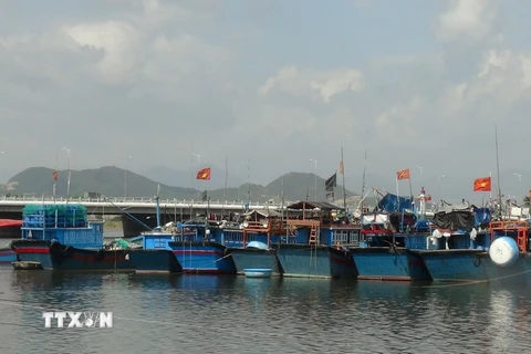 TP. Hồ Chí Minh nghiêm cấm tàu thuyền ra khơi từ 0 giờ ngày 11/12