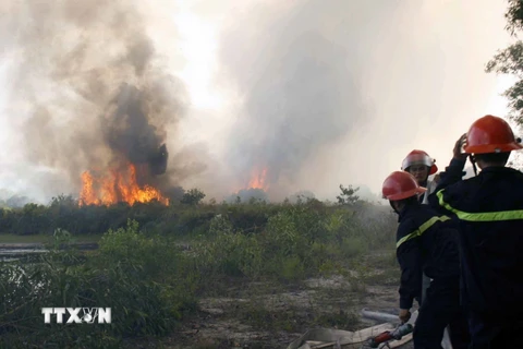 Bắc Giang: Liên tiếp xảy ra cháy rừng tại huyện Yên Dũng
