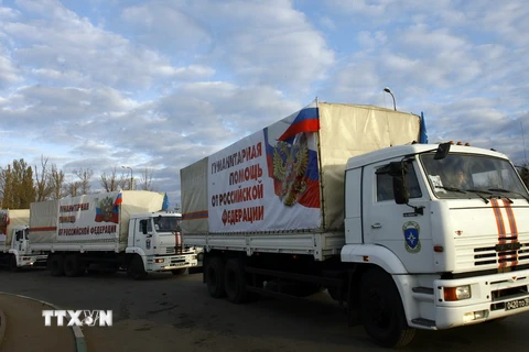Nga tiếp tục hỗ trợ nhân đạo cho Donbass trong tháng 1 năm 2015