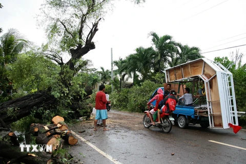 Số người thiệt mạng do bão Seniang tại Philippines lên tới 35 người