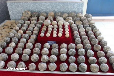 Thanh Hóa: Phát hiện ổ đạn đá lớn ở phía Đông Bắc Thành nhà Hồ