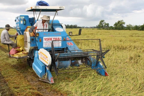Bổ sung hơn 321 tỷ đồng bảo vệ và phát triển đất trồng lúa