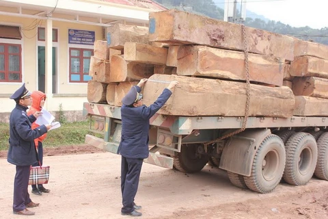 Không có chuyện ùn tắc xe chở gỗ tại Cửa khẩu quốc tế La Lay