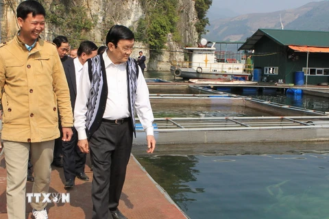 Chủ tịch nước Trương Tấn Sang thăm và làm việc tại tỉnh Hòa Bình