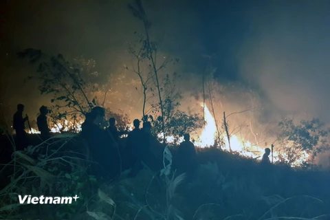 Quảng Ninh: Hỏa hoạn thiêu rụi gần 6ha rừng keo Nam Sơn