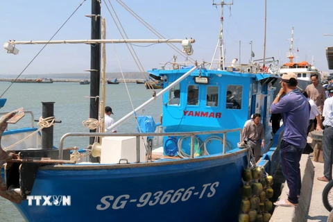 Ngư dân Bình Thuận tiếp cận tàu đánh bắt xa bờ bằng composite