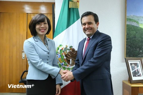 Mexico cam kết thúc đẩy quan hệ hợp tác với Việt Nam