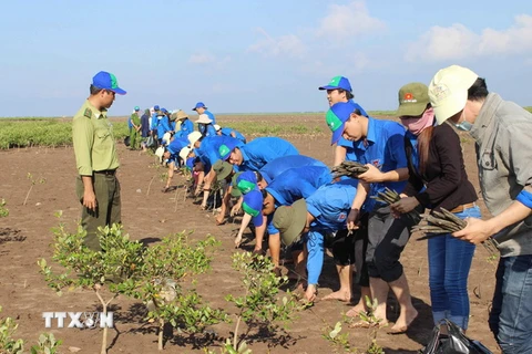 Việt Nam chủ động cùng quốc tế ứng phó với biến đổi khí hậu