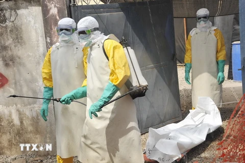 UNDP: Toàn khu vực Tây Phi thiệt hại nặng nề do dịch Ebola