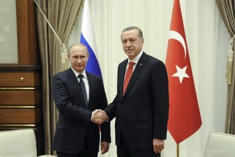 Tổng thống Nga-Thổ Nhĩ Kỳ bàn về dự án Dòng chảy Thổ Nhĩ Kỳ
